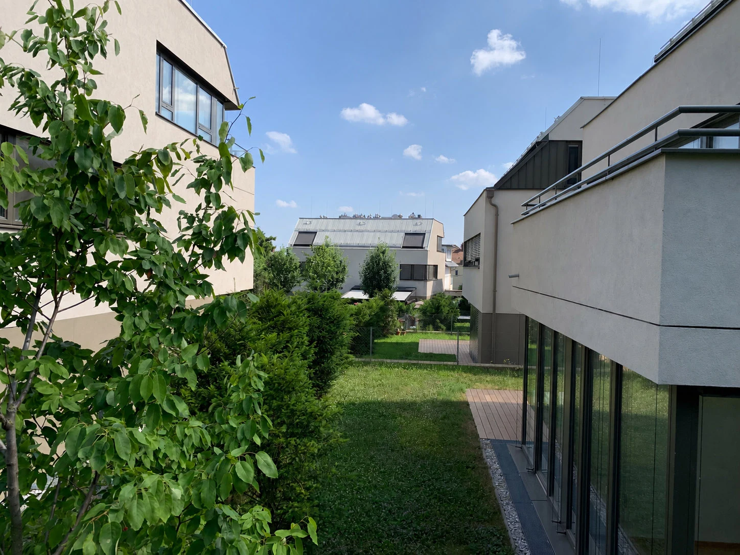Rosenh&uuml;gel